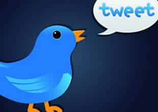 twitter-bird1